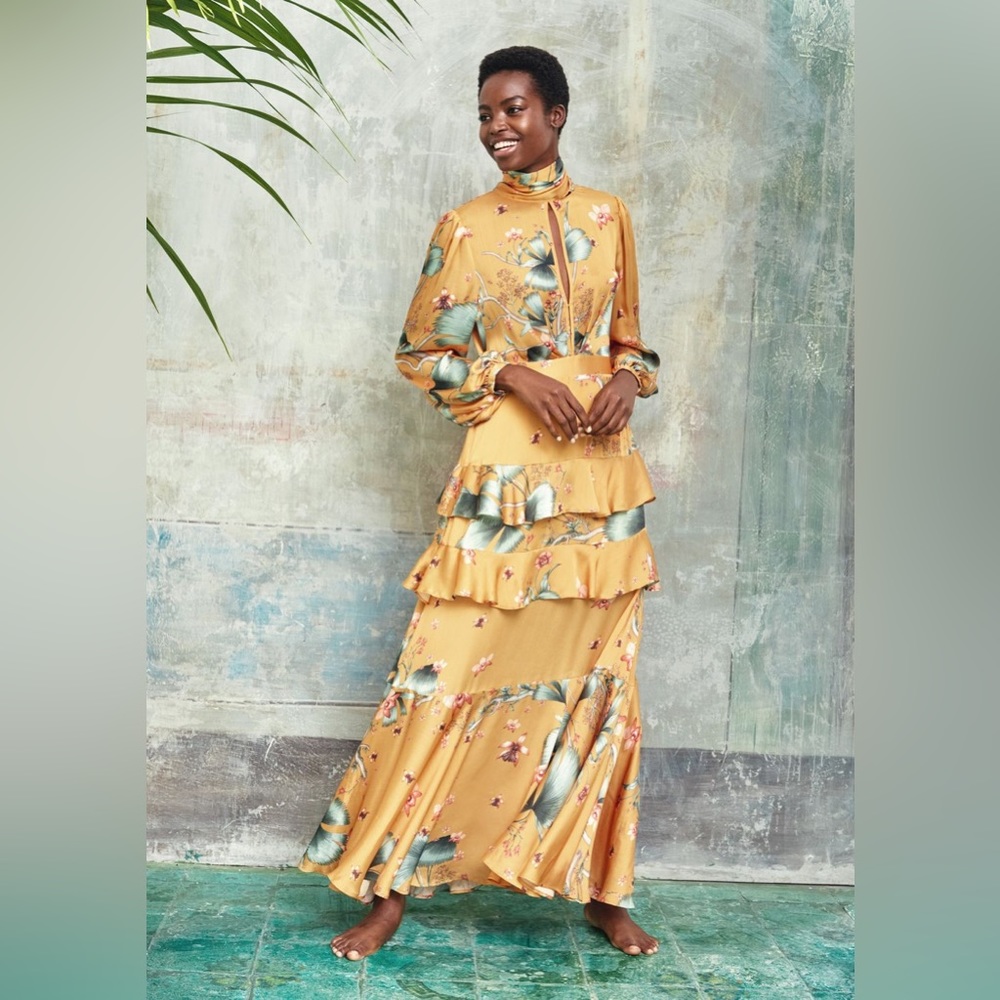 Johanna Ortiz x H&M Long Dress with Scarf Collar